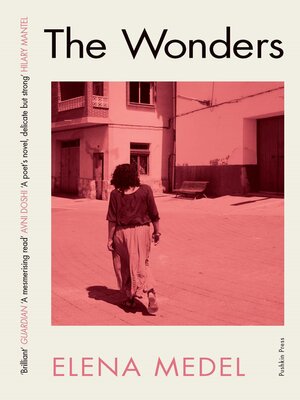 cover image of The Wonders